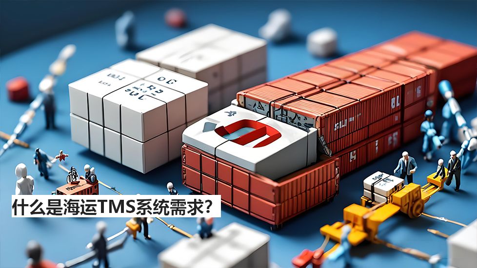 什么是海运TMS系统需求？