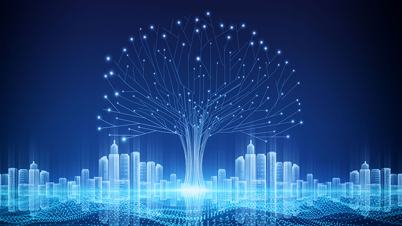 代购集运系统（D7);10月升级