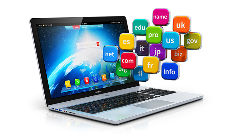 代购集运系统需要域名吗