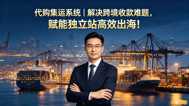 代购集运系统｜解决跨境收款难题，赋能独立站高效出海！