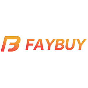 Faybuy（绮书）