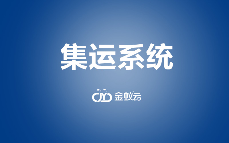 国际物流集运系统